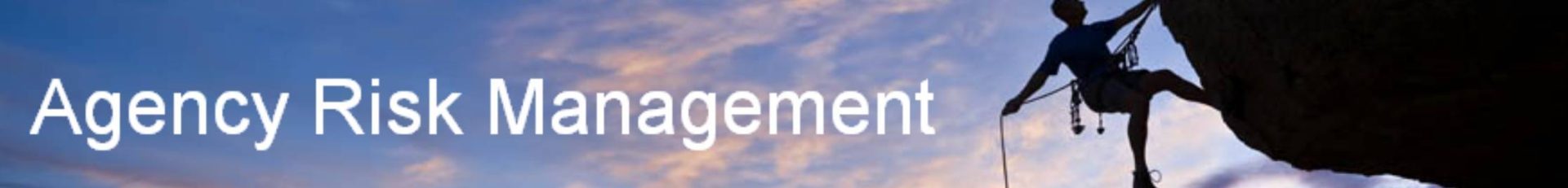 Agency Risk Management